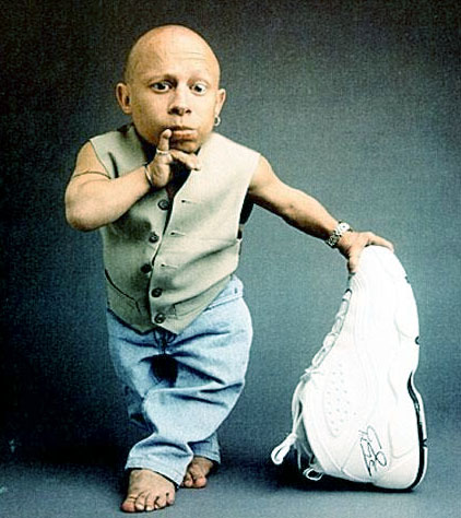 Verne Troyer Net Worth