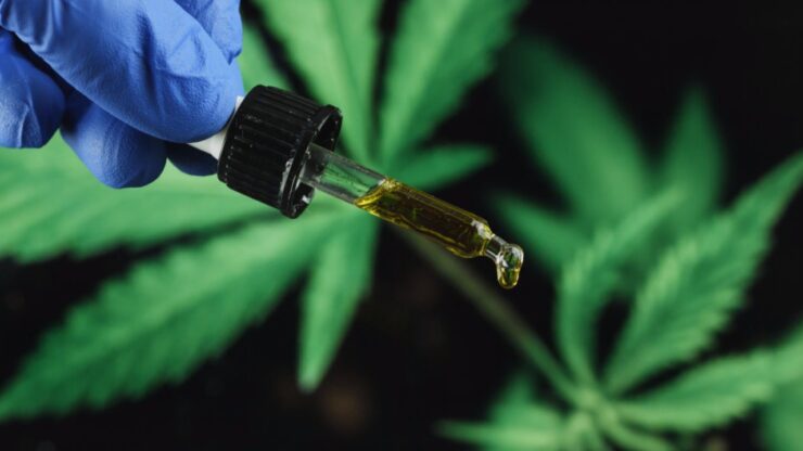 Understanding CBD Oil