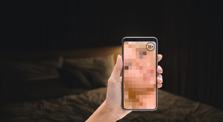 Porn in the Digital Era
